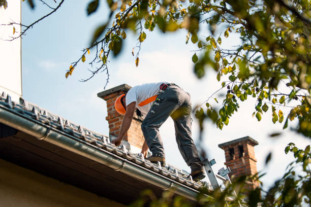 Best Flat Roof Repair Services  in Montvale, NJ